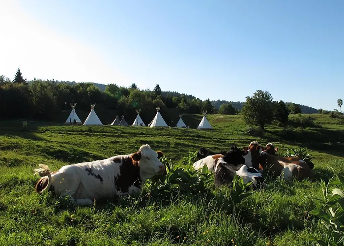 Village Tipi *