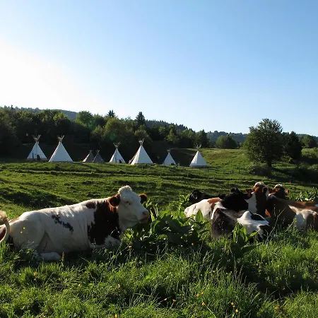 Village Tipi *